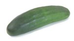 cucumber-American
