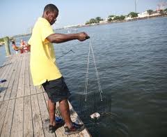 Kicked off the railroad bridge by local police and perilously low on chicken necks, Benny took to a local dock, still intent on catching his quota before the end of crabbing season.  (Image from the Press of Atlantic City dot com)